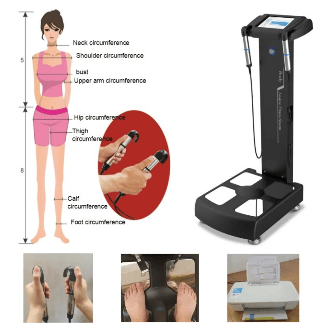 Body Composition Tester & Analysis Machine - Foreverfly