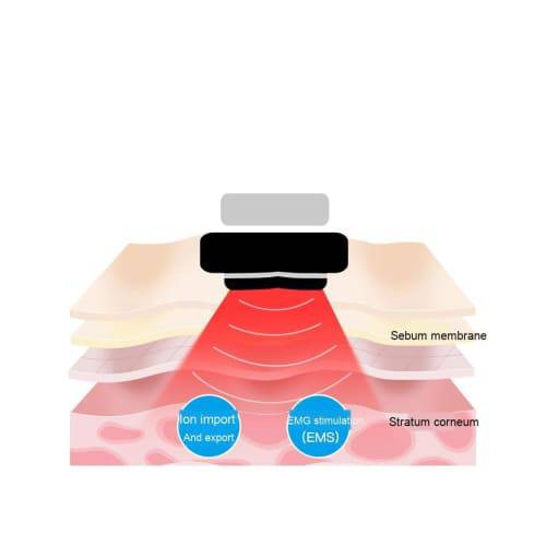 RF Skin Rejuvenation Beauty Instrument - Foreverfly