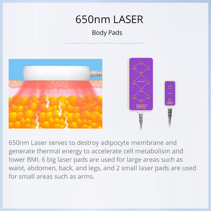 30K 6 in 1 Body Sculpting Machine With 160MW Lipo Laser - Foreverfly 